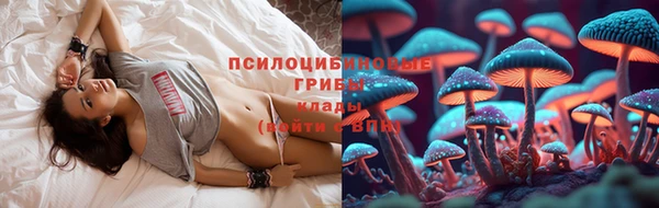 мяу мяу мука Алексин
