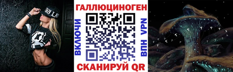 Галлюциногенные грибы Psilocybine cubensis  Минусинск 