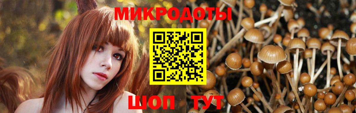 Минусинск  Галлюциногенные грибы GOLDEN TEACHER  Вход с VPN 